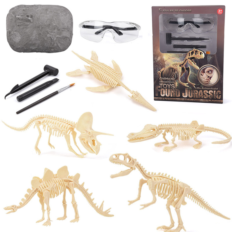 Science Kit - Dinosaurier-Fossil-Ausgrabungsset STEM Ausgrabbare Dinosaurierskelett-Modelle Lehrreiche Wissenschaftsgeschenke