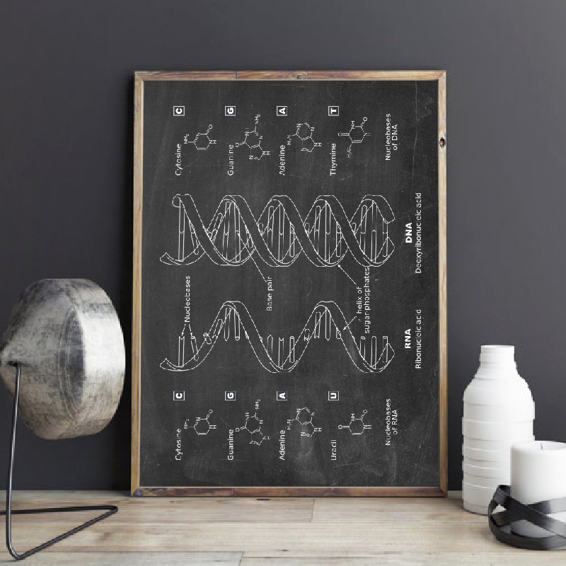 DNA Patent Wandkunst Genetik P – Star Map Poster Bewertung und Preis