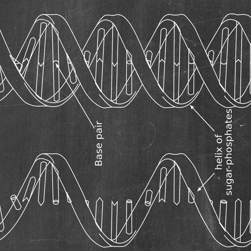 DNA Patent Wandkunst Genetik P – Star Map Poster Bewertung und Preis