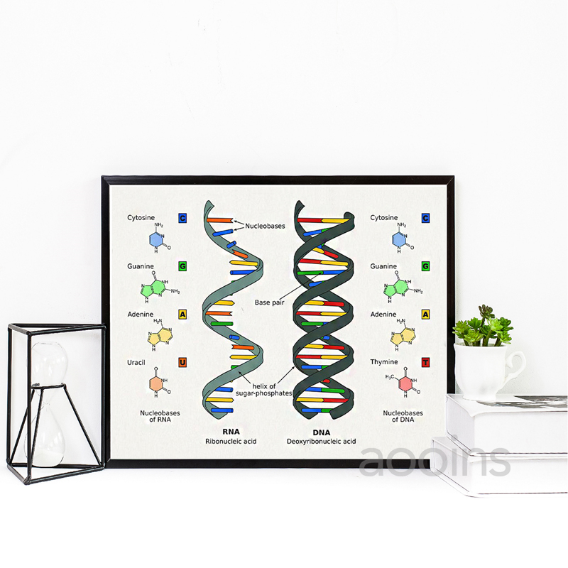 DNA Patent Wandkunst Genetik P – Star Map Poster Bewertung und Preis